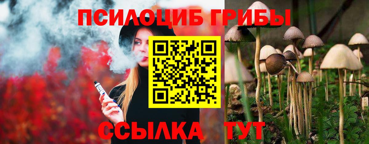 Галлюциногенные грибы прущие грибы Кинель